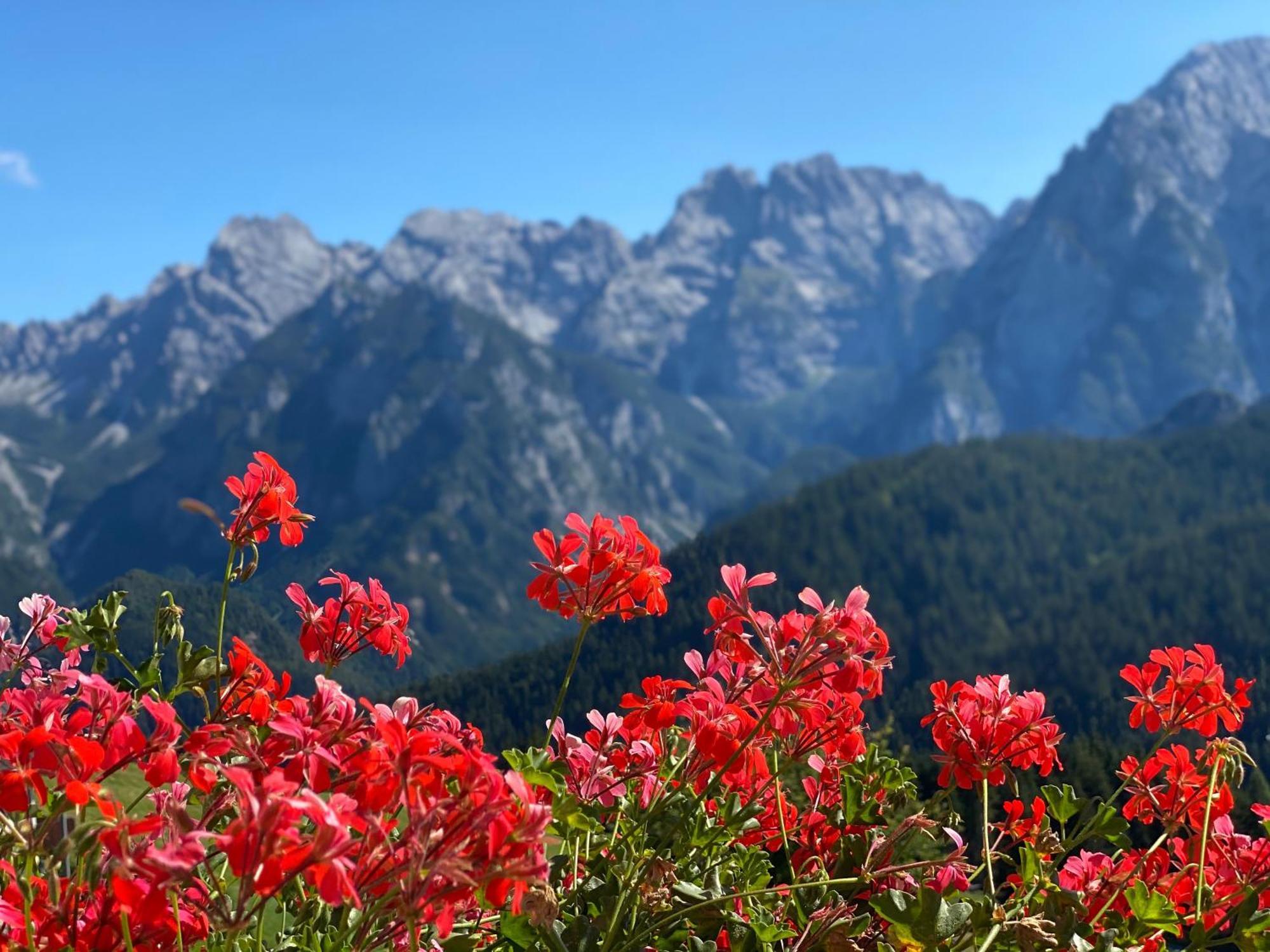 Hotel Tre Pini Danta Bagian luar foto